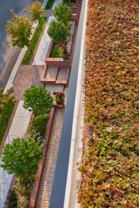 Mill Street Rooftop