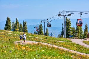 Aspen Mountain Sundeck Landscape