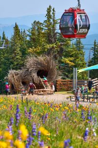 Aspen Mountain Sundeck Landscape Birdnest