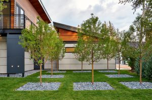 Red Brick Residence Exterior Landscape Trees