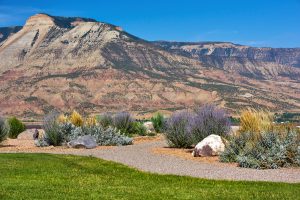 Colorado Community Park Battlement Mesa Landscape