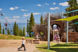 Aspen Mountain Sundeck Landscape Playground Birdsnest