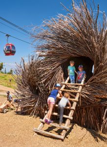 Aspen Mountain Sundeck Landscape Birdnest playground